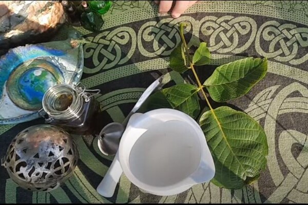 Recept: De Kruidenheksen